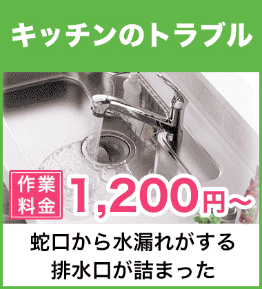 キッチン（台所）の蛇口の水漏れ修理 千葉市